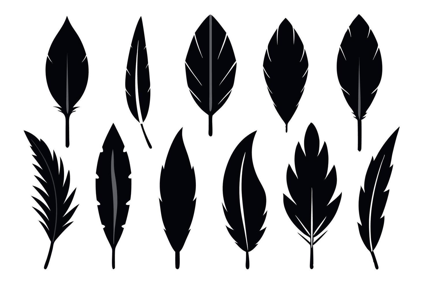 Feathers Icon Set vector