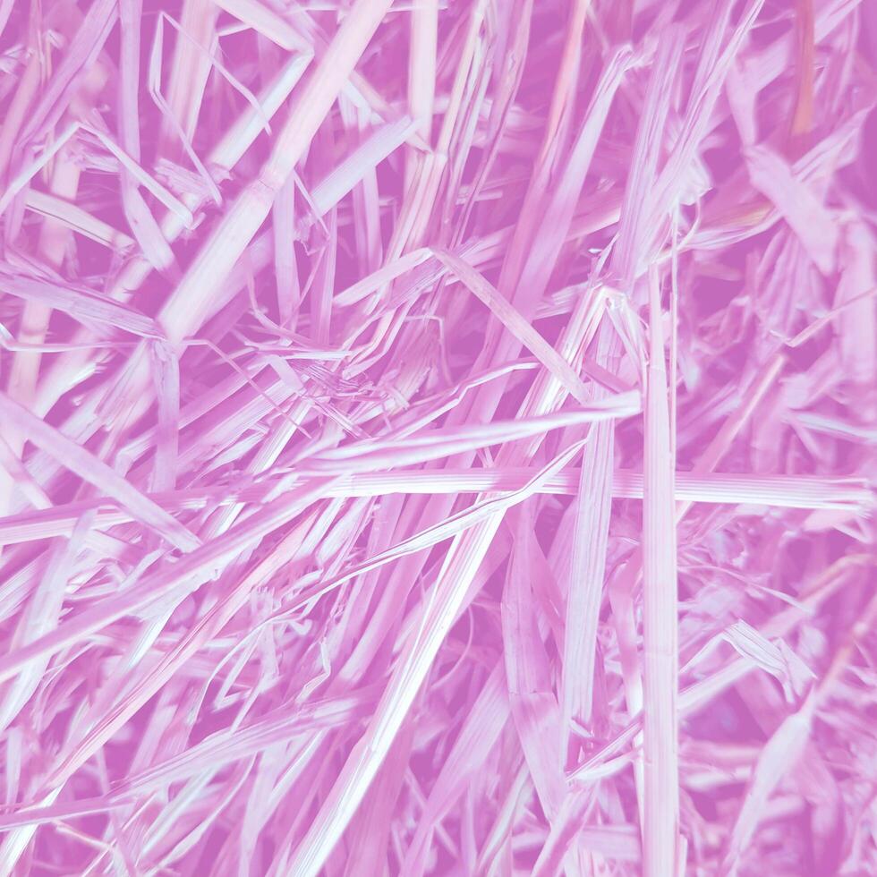 Pastel Straw Group Background. photo