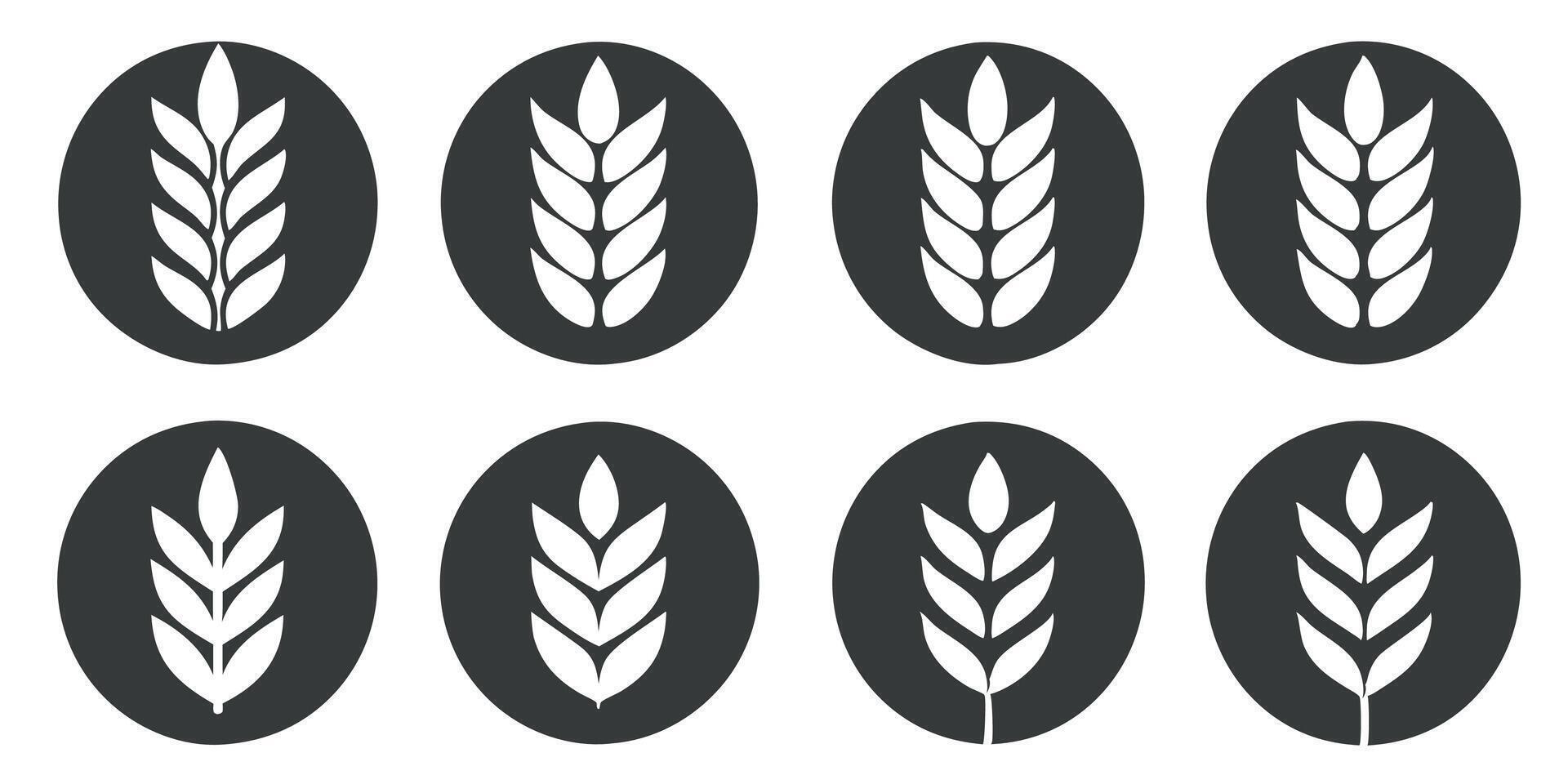 Wheat Grains Icon Set vector