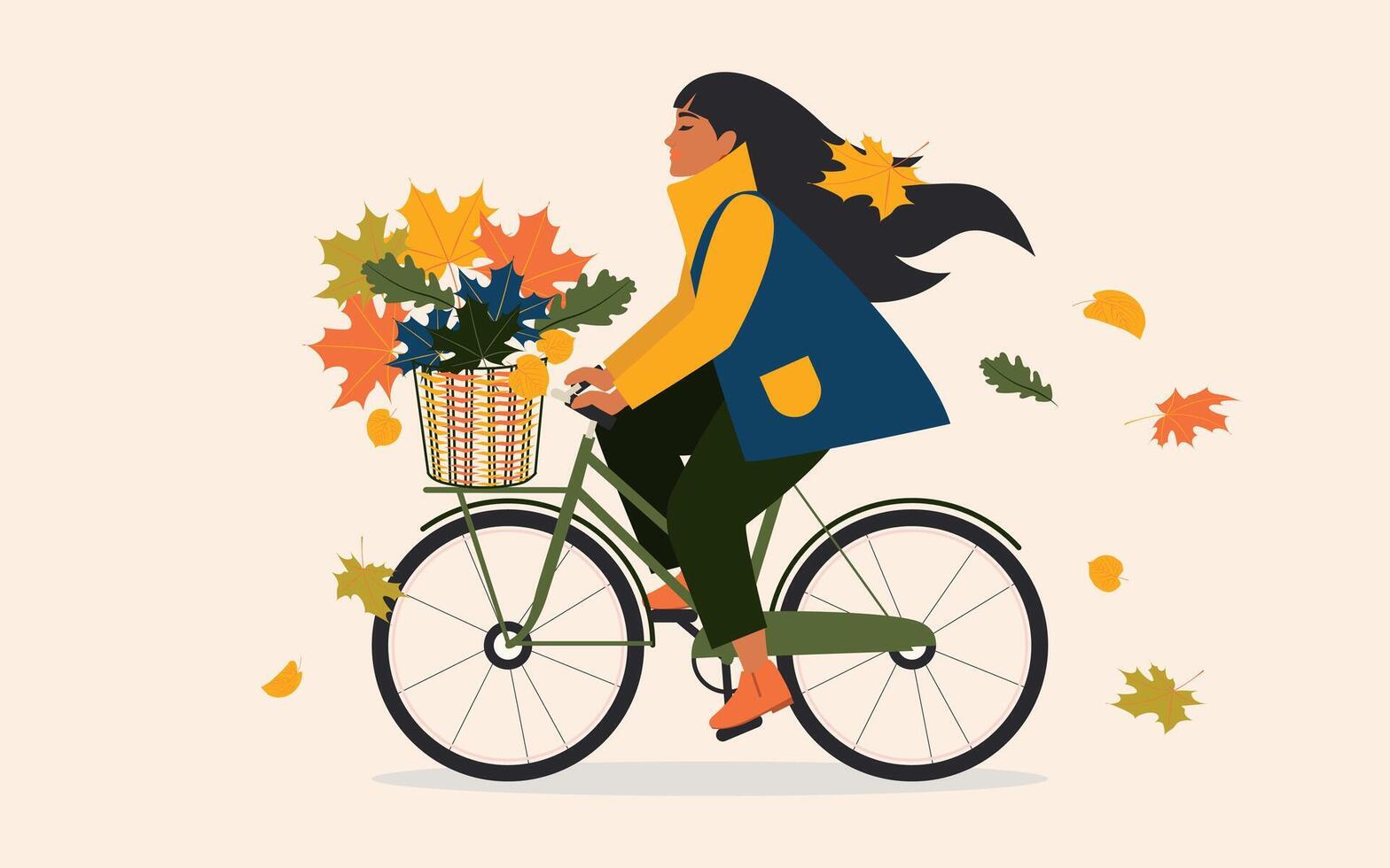 Happy young woman in a coat rides a bicycle with a basket of autumn maple leaves. vector