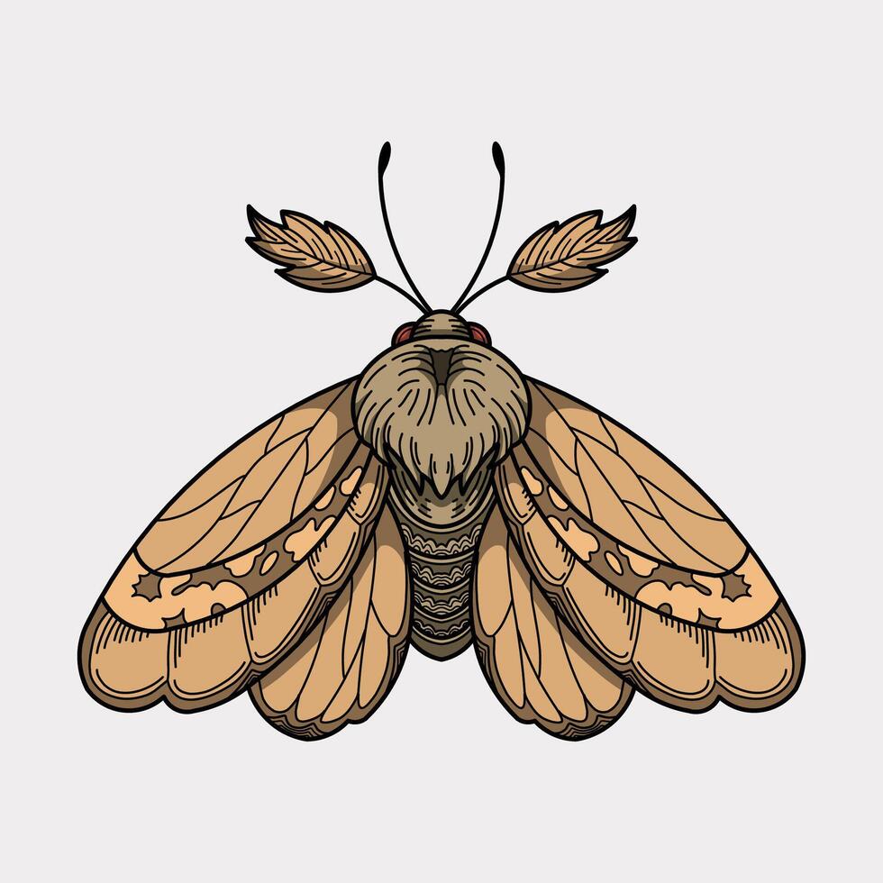 Butterfly moth colorful handmade illustration artwork vector