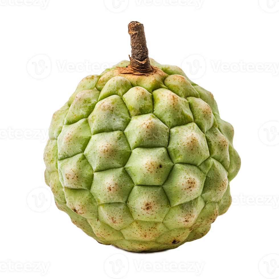 custard apple fruit, isolated on the transparent background png