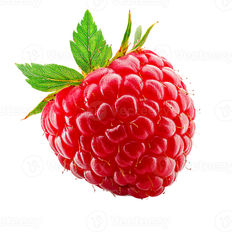 Raspberry Fruit, isolated on the transparent background png