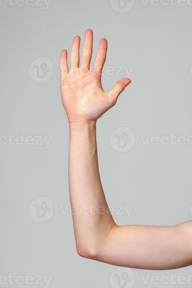 Raised Human Hand Against a Neutral Grey Background Exhibiting Palm and Fingers photo