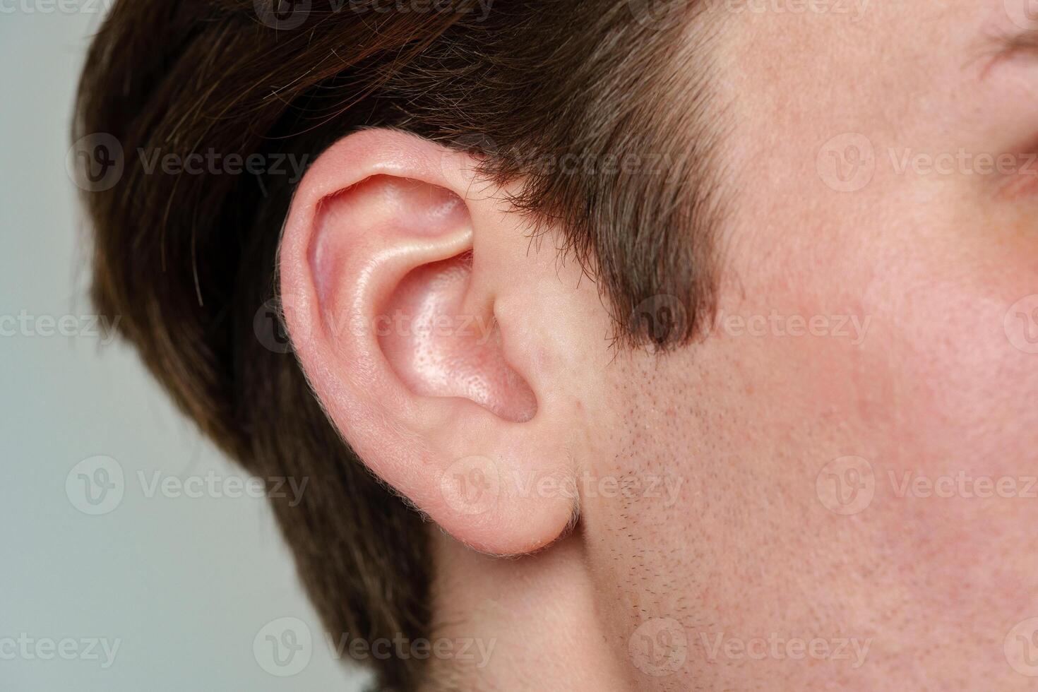Close Up of a Mans Ear and Nose photo