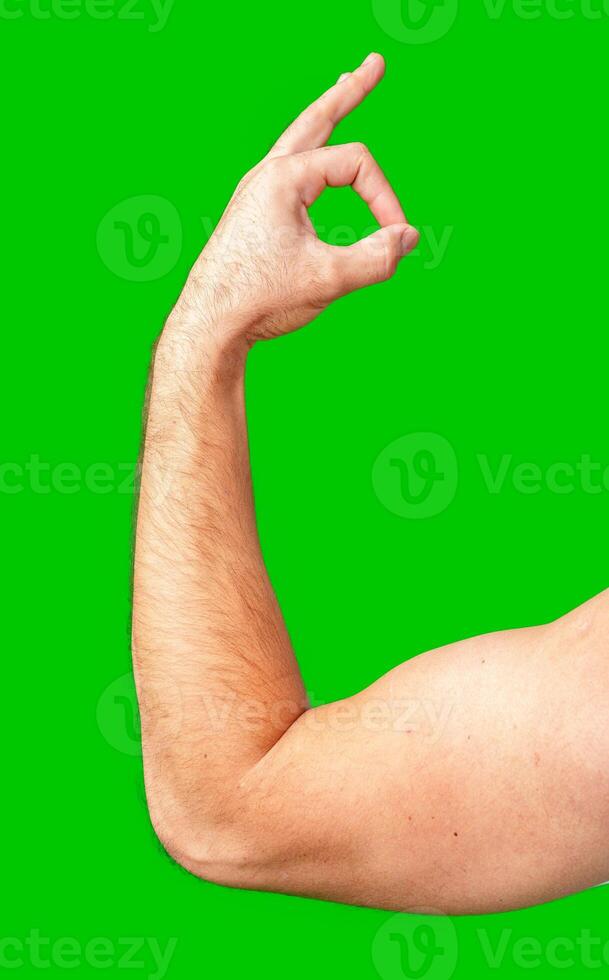 human arm gesturing with raised fingers against a bright green backdrop photo