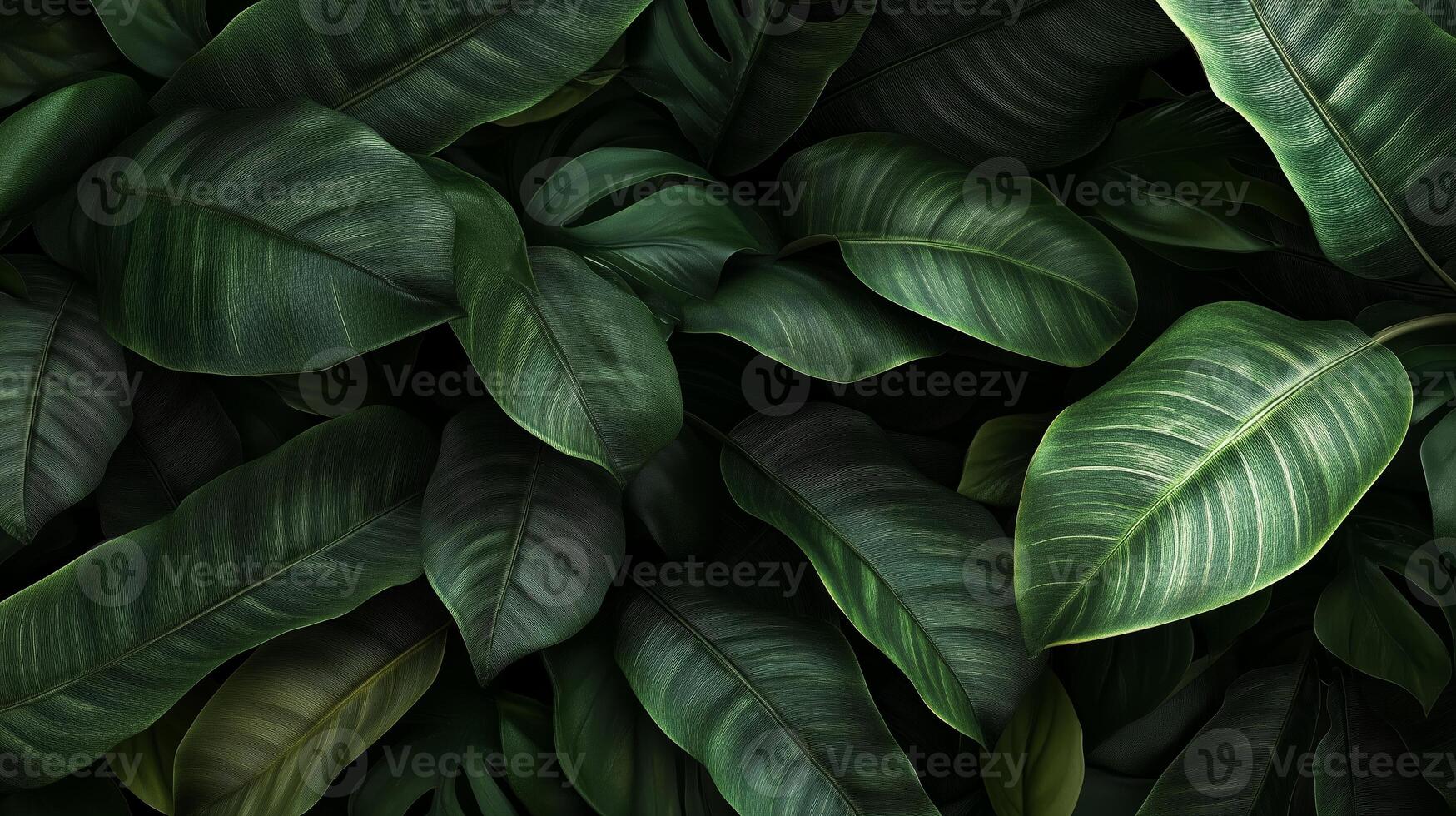 Dense green foliage creating a lush, tropical environment with varying leaf textures and shades in natural light photo