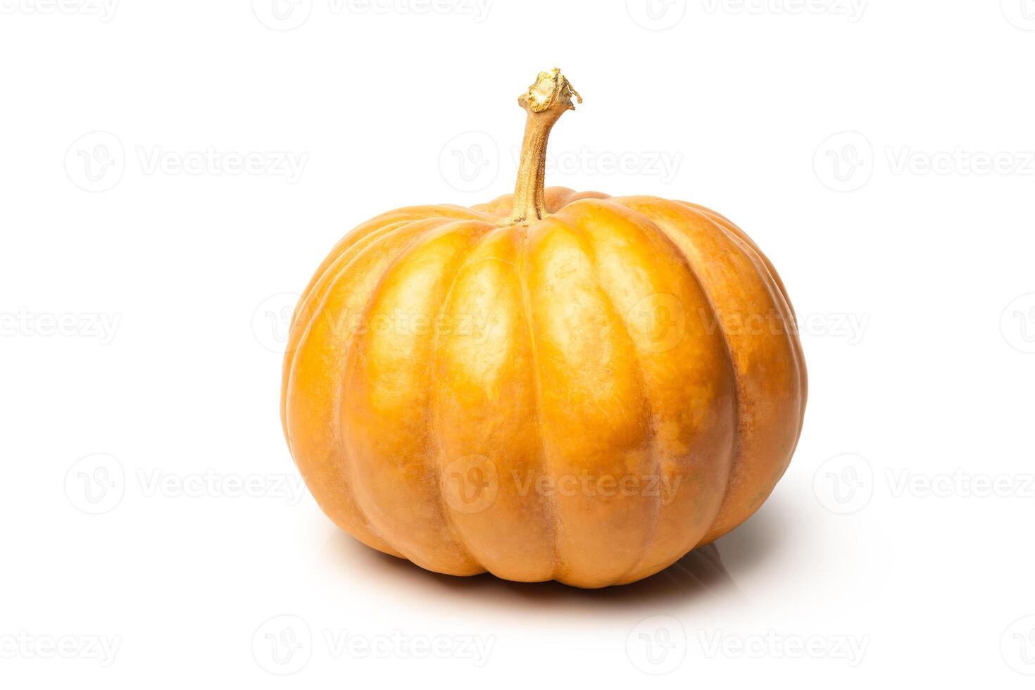 Pumpkin isolated on white background photo