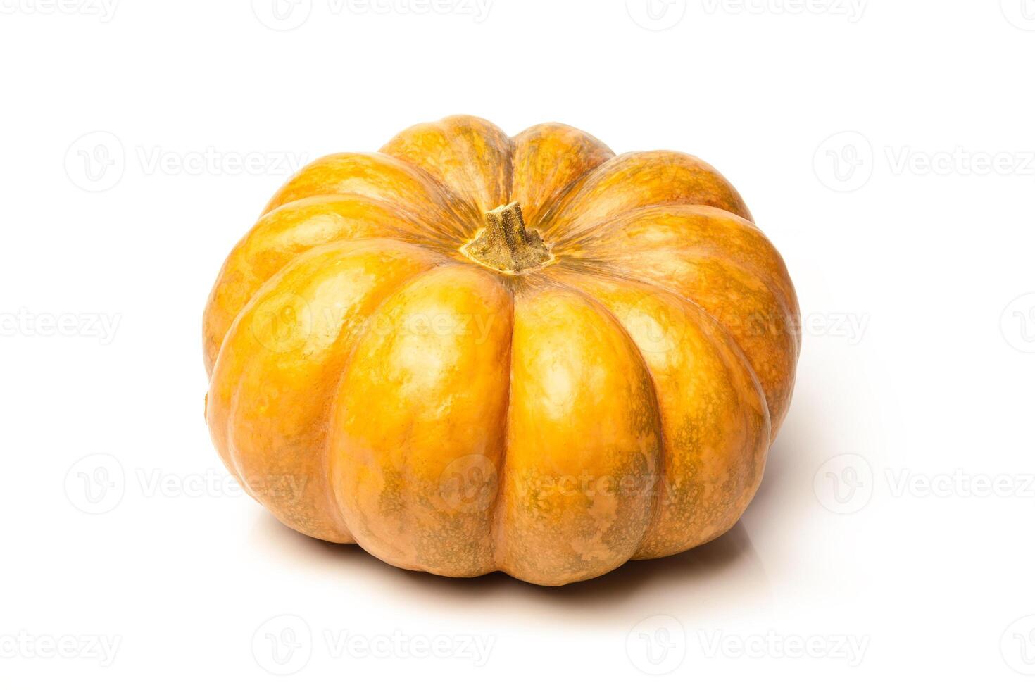 Pumpkin isolated on white background photo