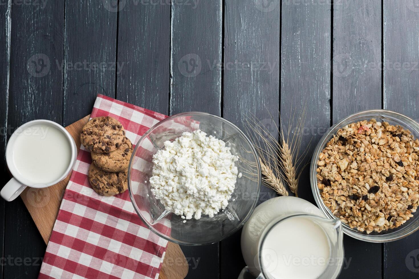 milk, cottage cheese - dairy products photo