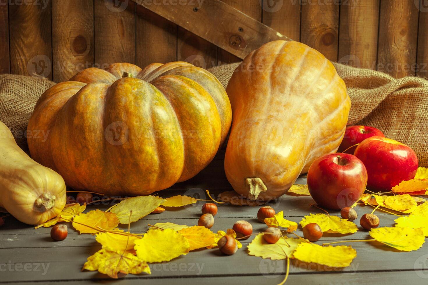pumpkins on wooden board photo