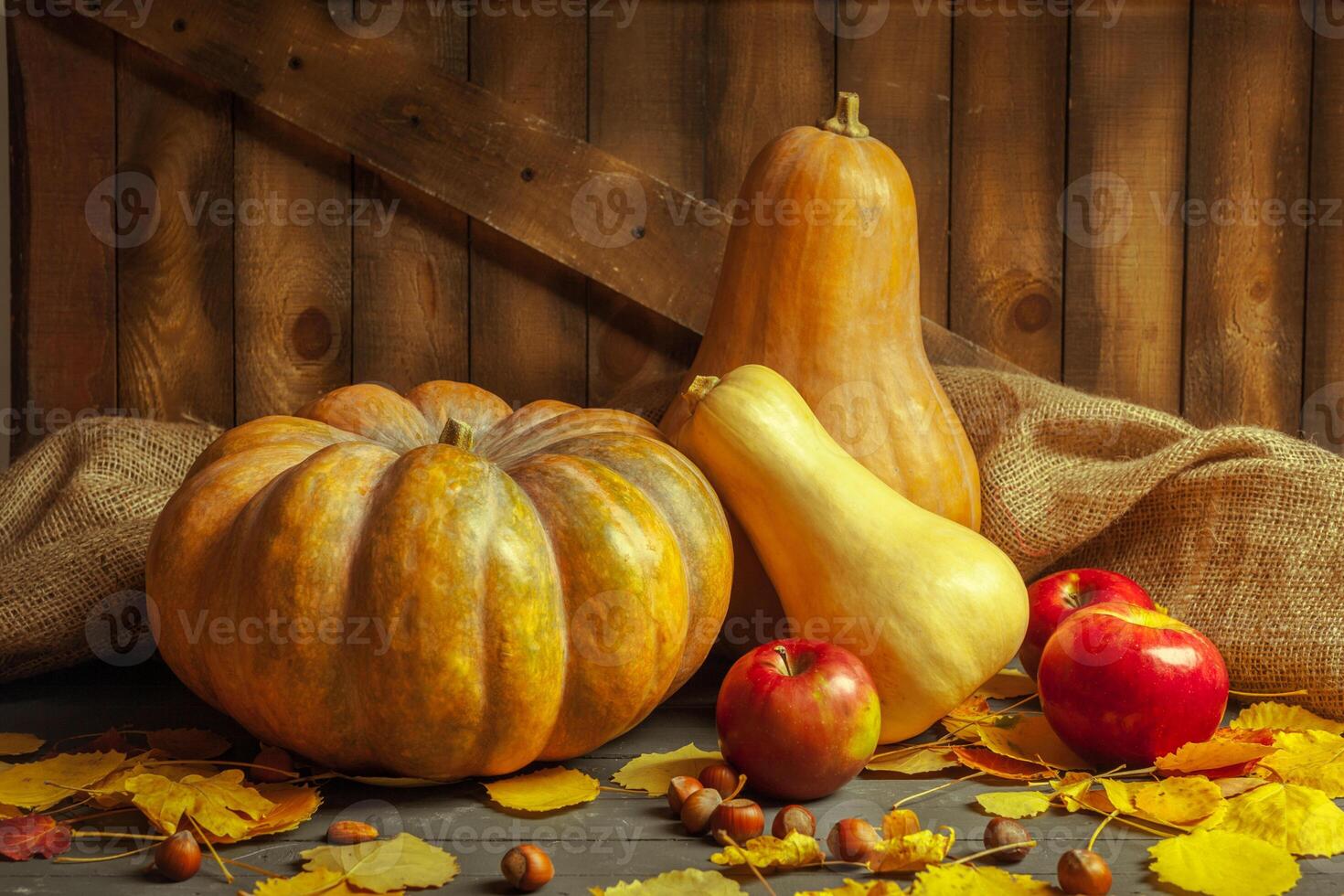 pumpkins on wooden board photo