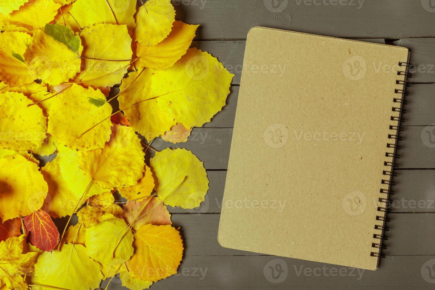 Colorful autumn leaves over wood background with copy space photo