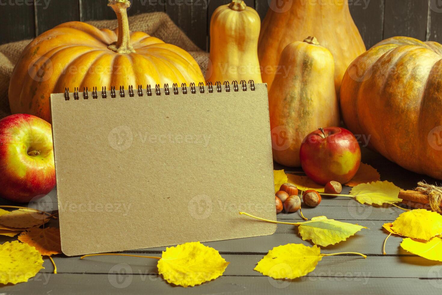 pumpkins on wooden board photo