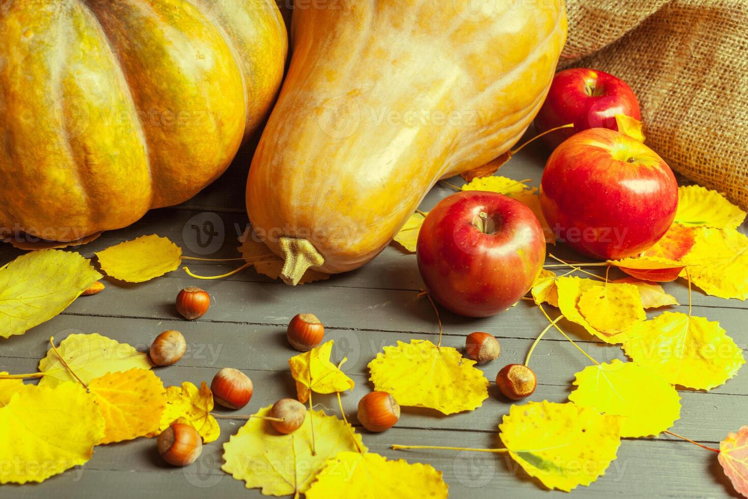 pumpkins on wooden board photo