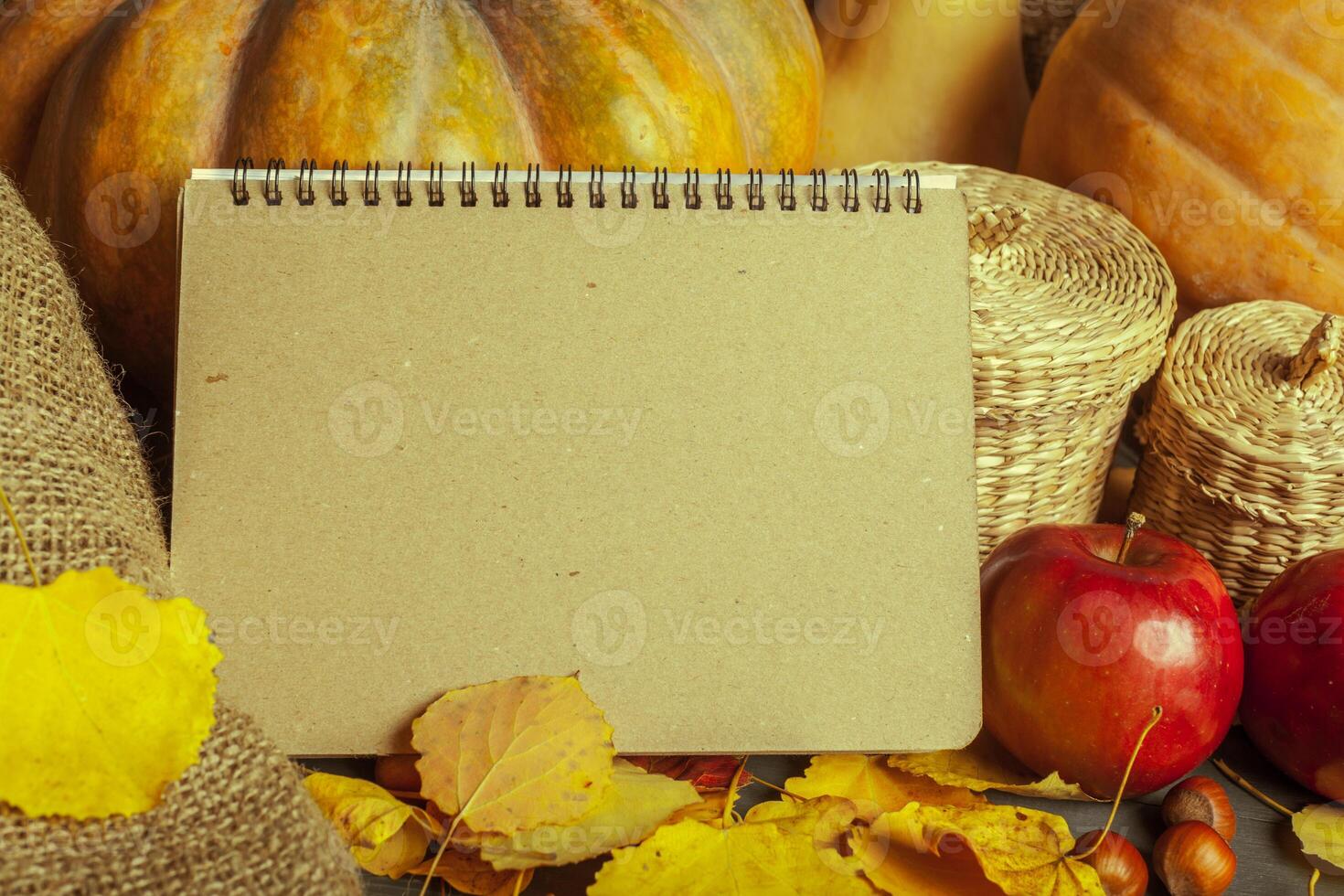 pumpkins on wooden board photo