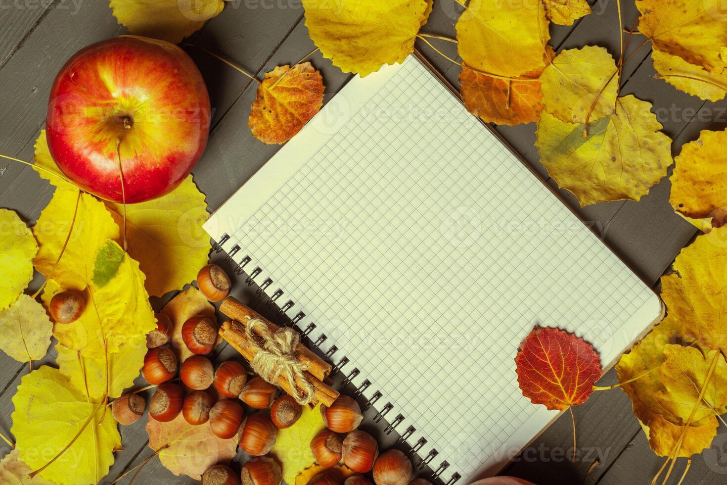 Colorful autumn leaves over wood background with copy space photo