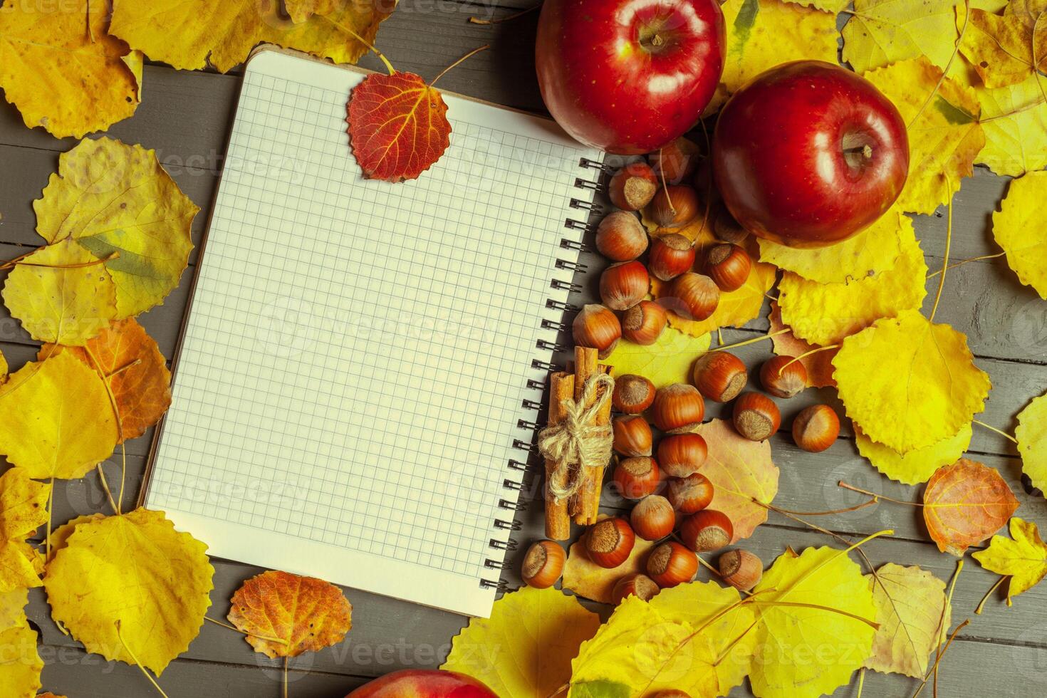 Colorful autumn leaves over wood background with copy space photo