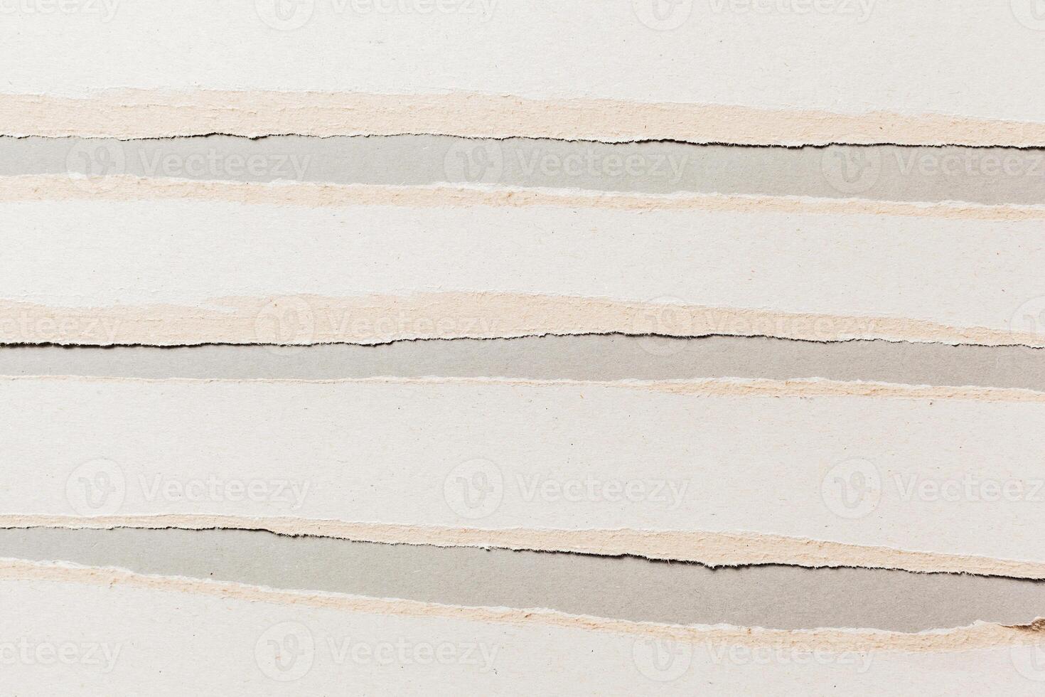 white ripped paper photo