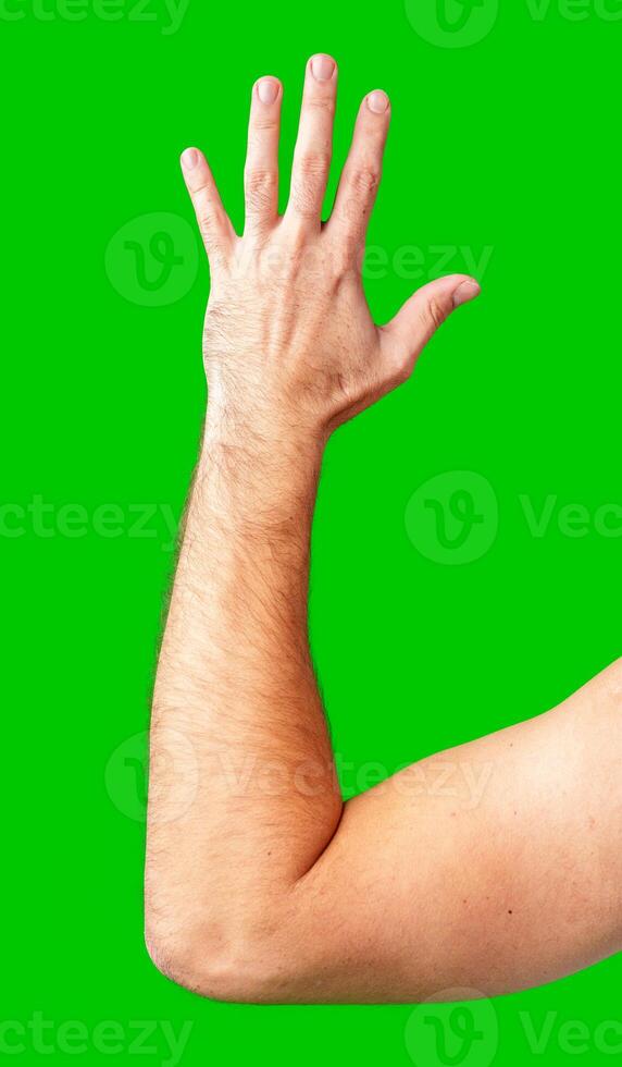 human arm gesturing with raised fingers against a bright green backdrop photo