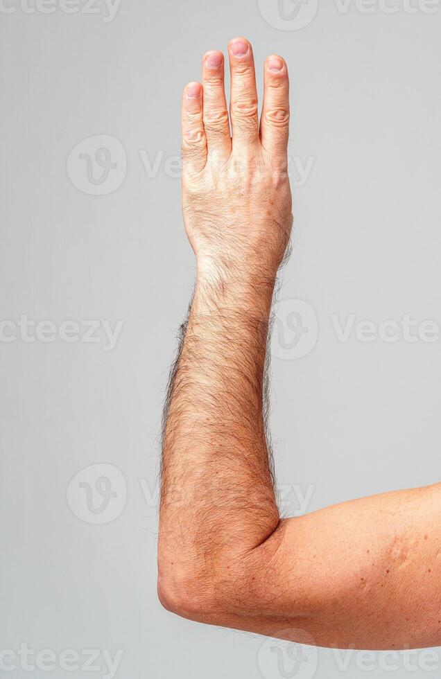 A human hand raised showing the number four against a plain background photo