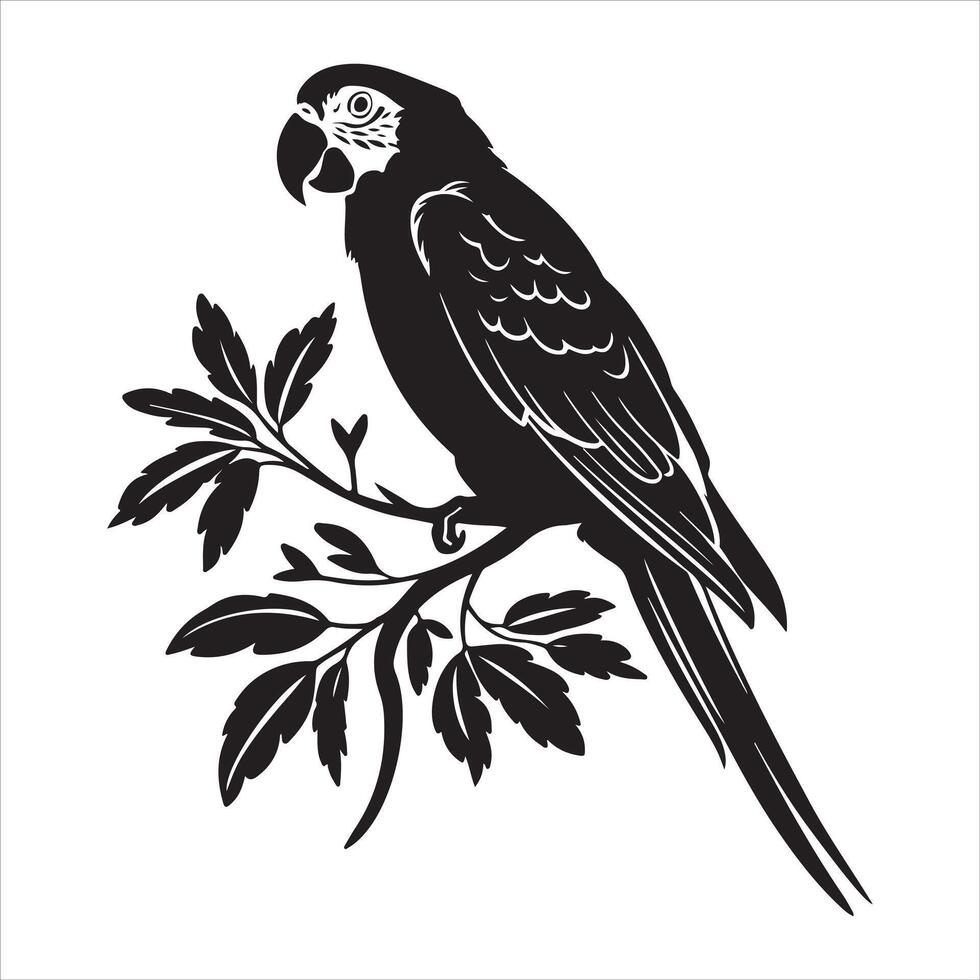 Graphic black corella cockatiel parrot silhouette isolated on white background vector