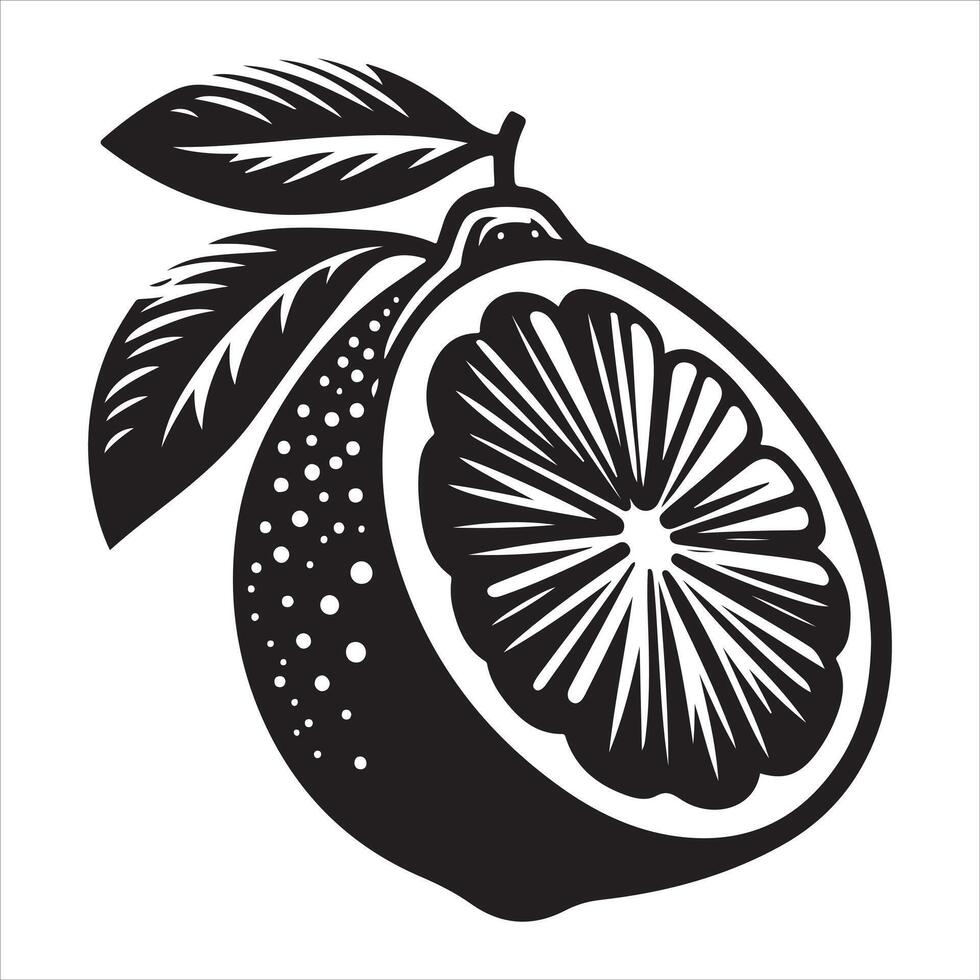 Graphic Symbols for Citrus vector