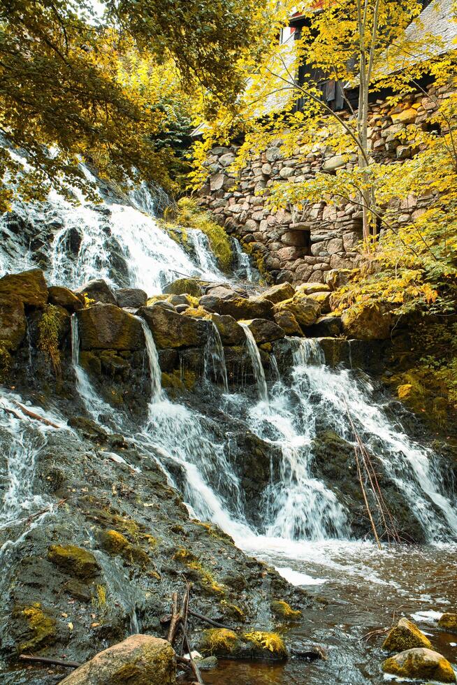 Small waterfall in Sweden. Moss-covered stones. Forest on the river bank. Scandinavian photo
