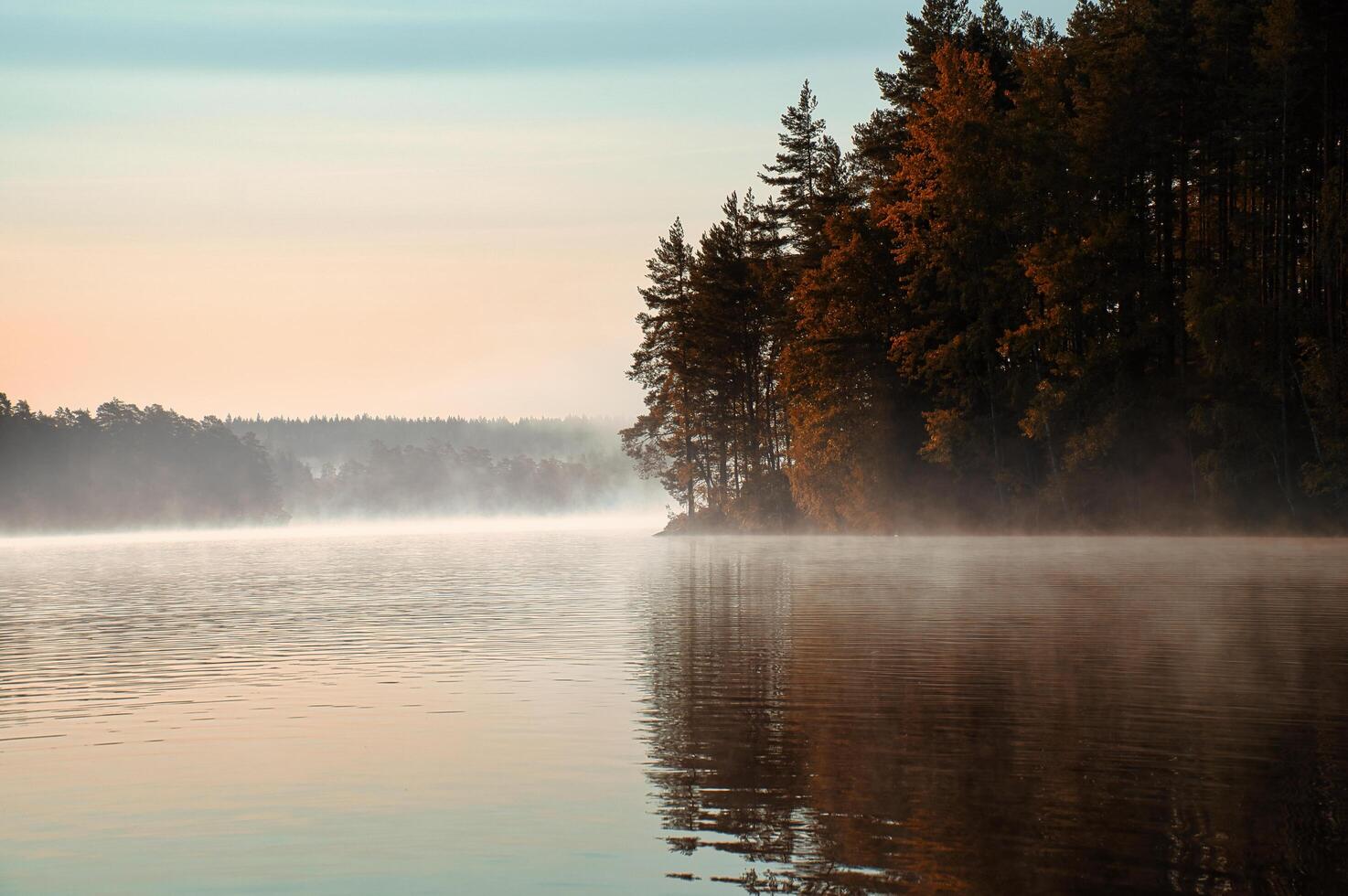 Lake in Sweden at sunrise with romantic light, blue water and trees on the shore photo