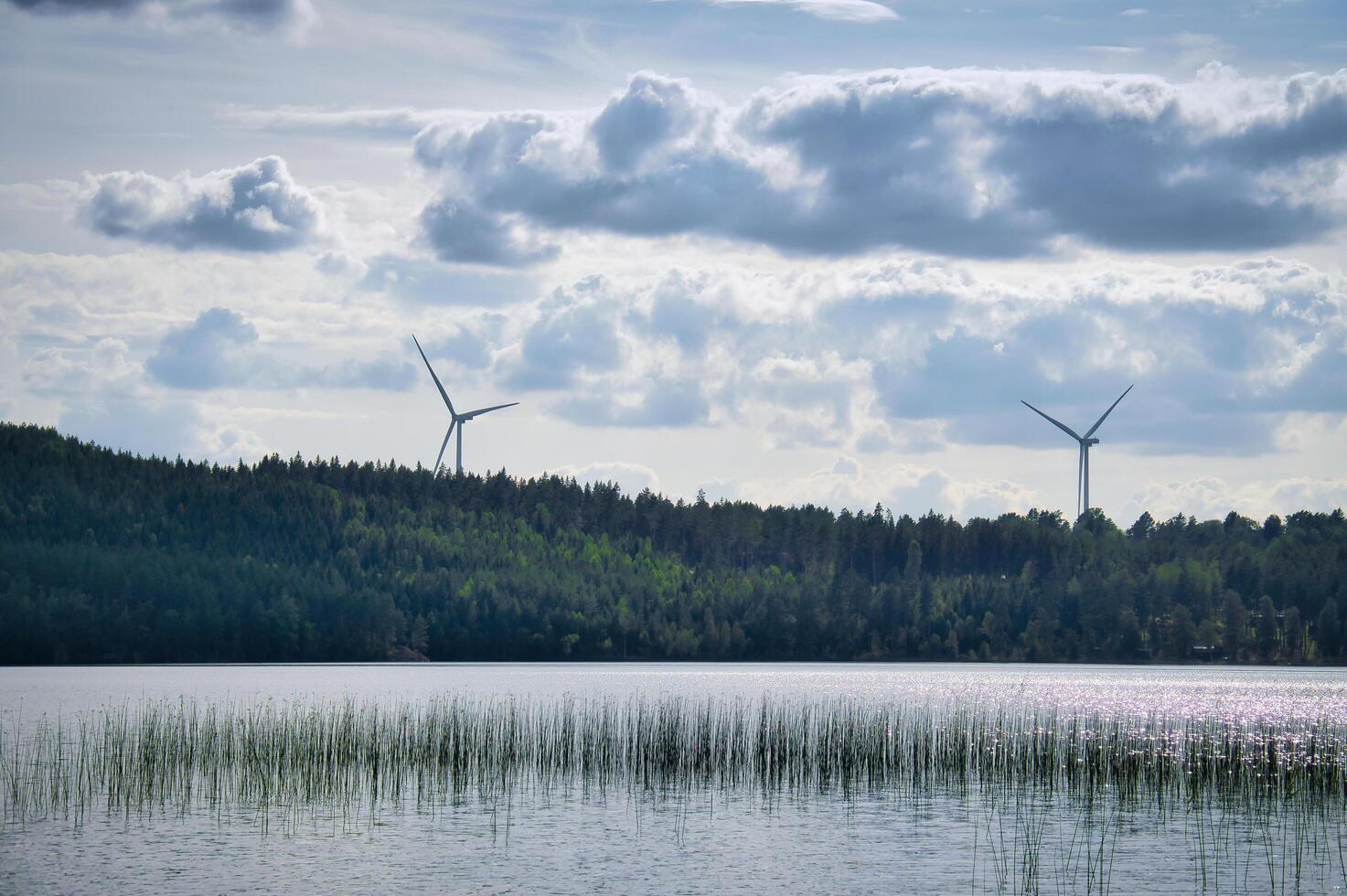 Wind turbines on the shore of a lake in Smaland, Sweden. Renewable energy. photo