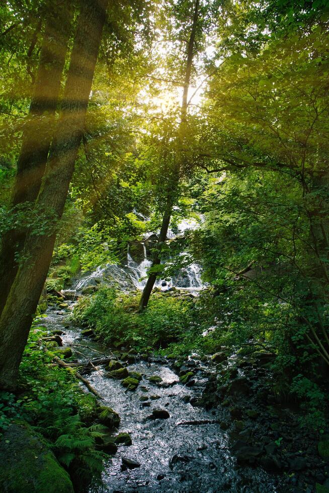 Small waterfall flows into a stream in Sweden. Forest on the riverbank. photo