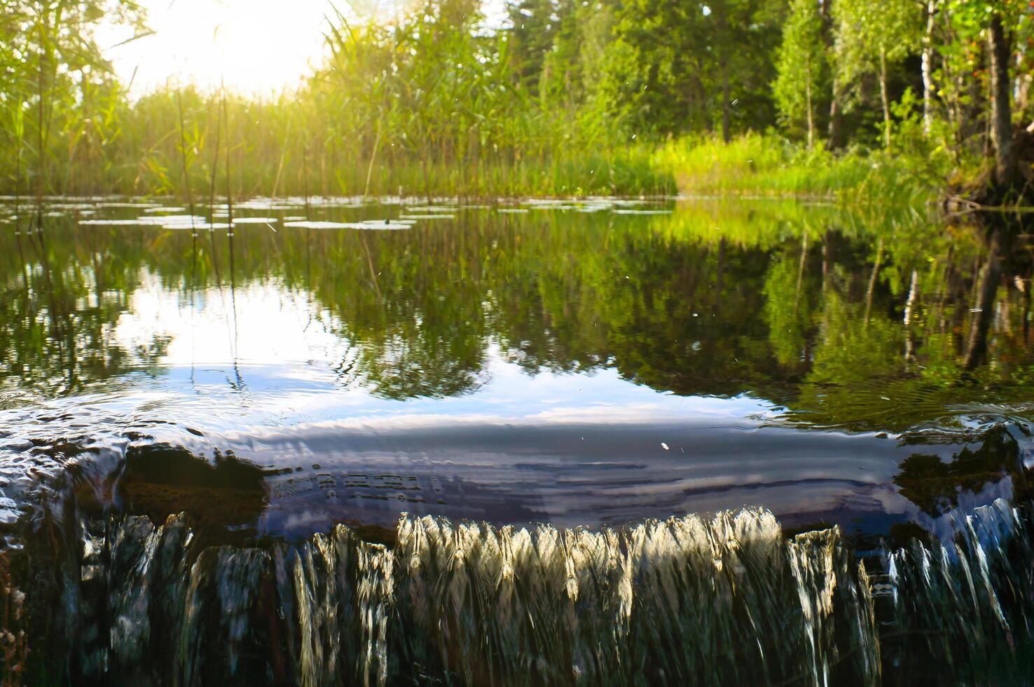 Waterfall in front of a lake in Sweden. Water lilies and reeds in the water. Trees photo