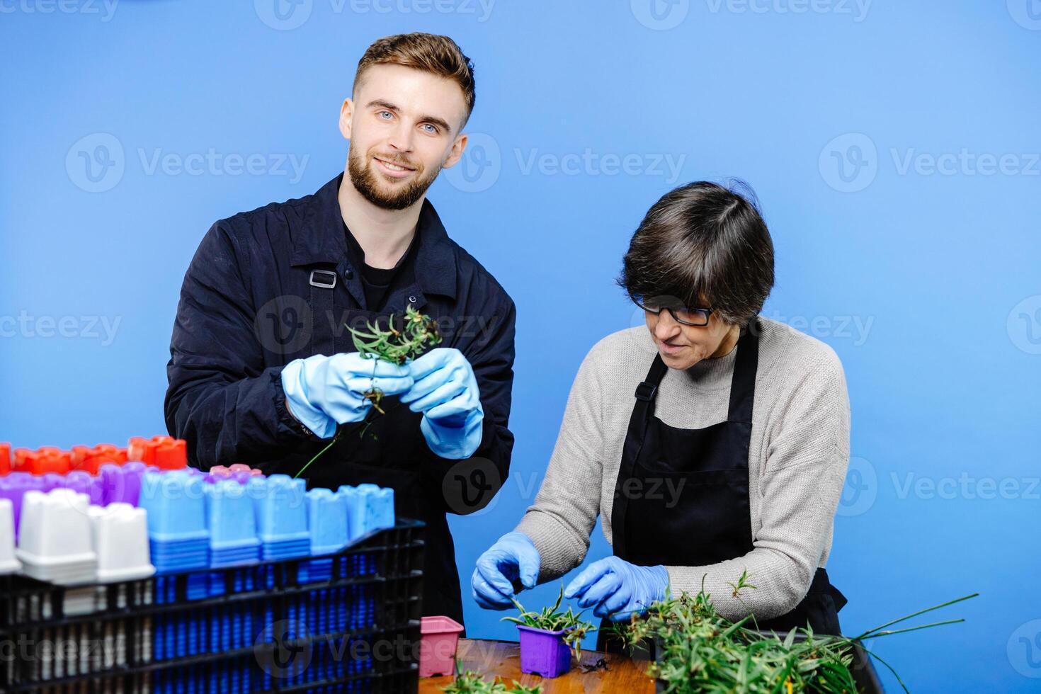 Working couple in a family business of florist store, they plants the flowers on the pot together and enjoy the process photo