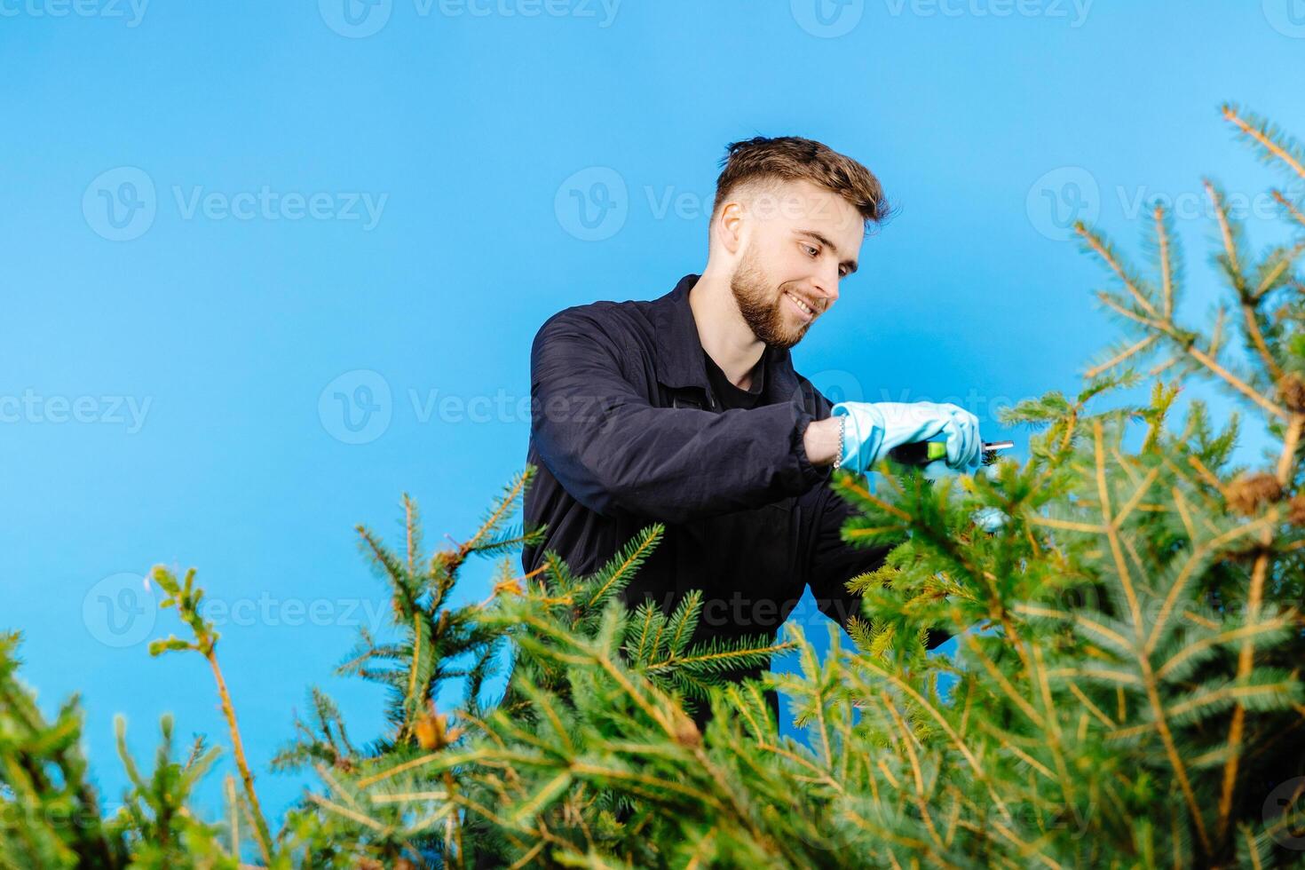 Man is carrying a cart with a pine tree on a blue background photo