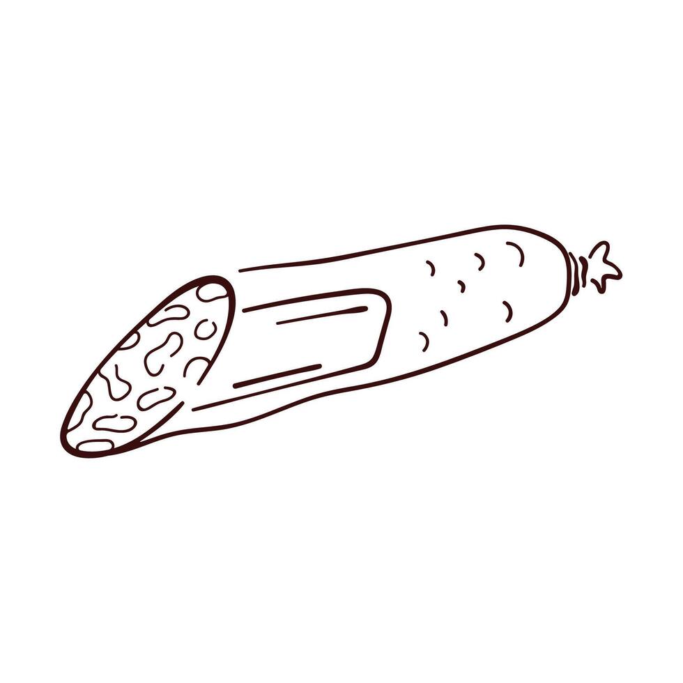 Half a smoked sausage in line art style. Hand drawn salami for meat store and menu design. Isolated on a white background. vector