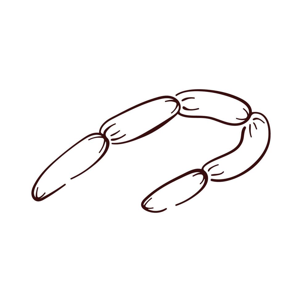 Bundle of smoked sausage in line art style. Design for meat shop, menu. illustration isolated on a white background. vector