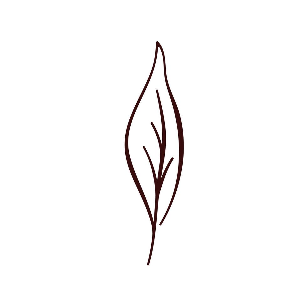 Basil leaf icon on line art style. Perfect for food design, herbal packaging, culinary branding or recipe book. Simple and elegant illustration isolated on a white background. vector
