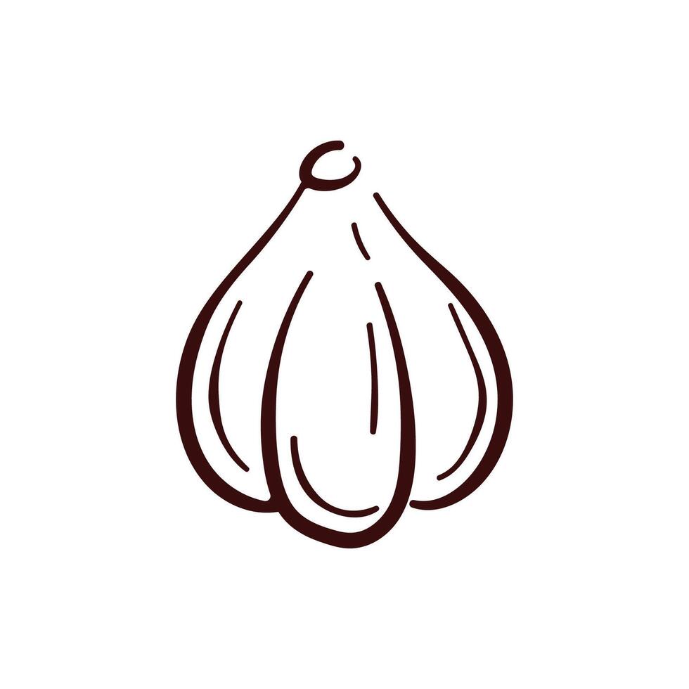 Garlic Bulb icon in line art style. Vegetable design for cooking book, menu, product store. Isolated on a white background. vector