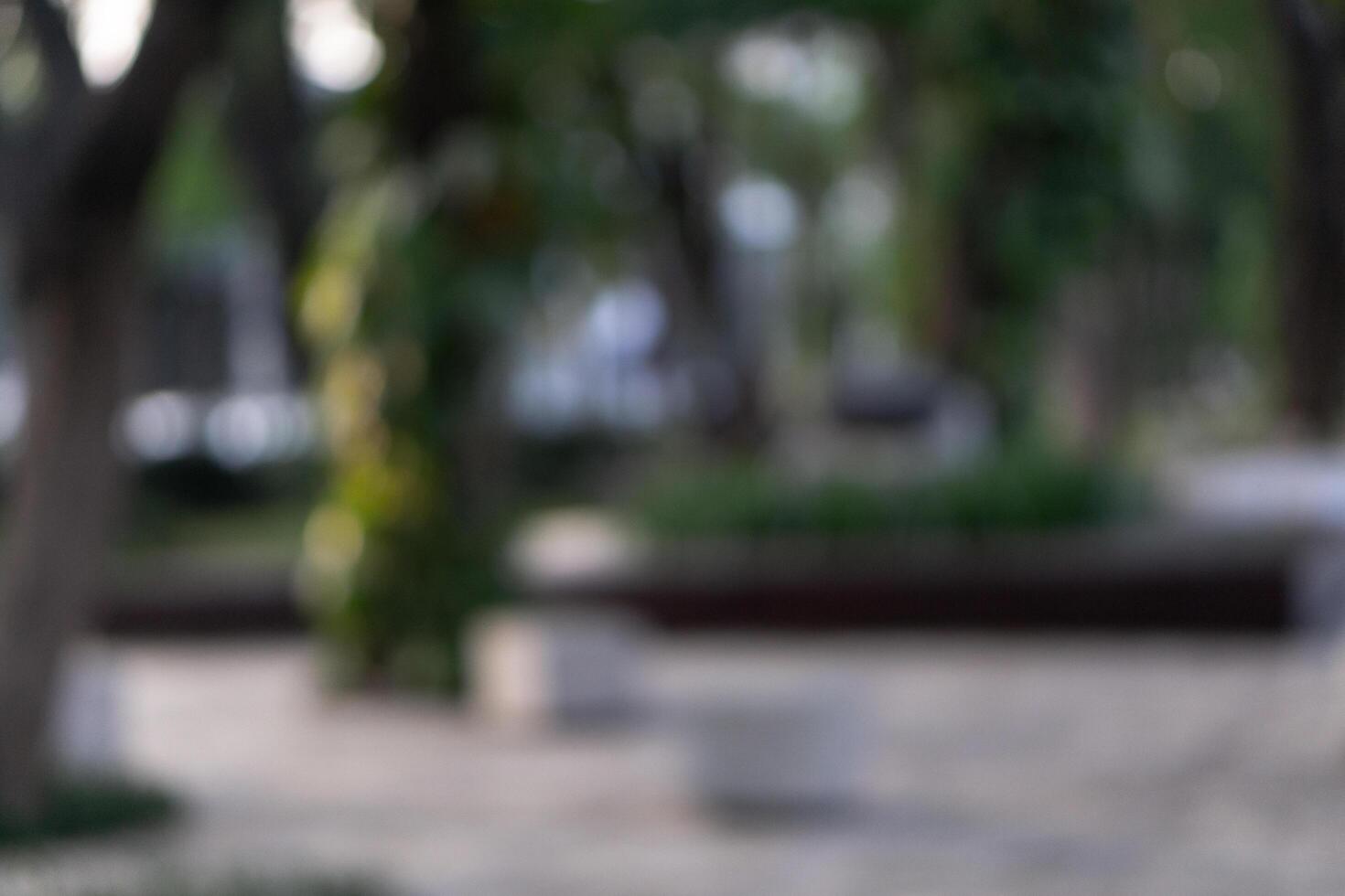 Blurry background of public park outdoors surrounded by trees and sidewalk photo