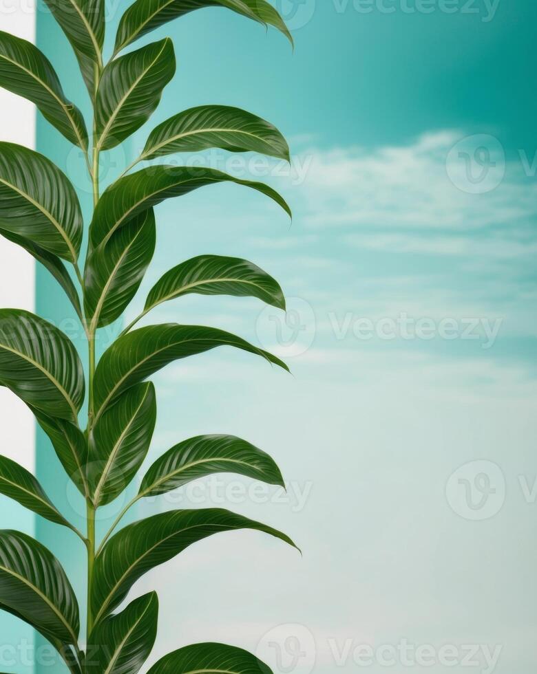 A plant with green leaves against a blue sky photo