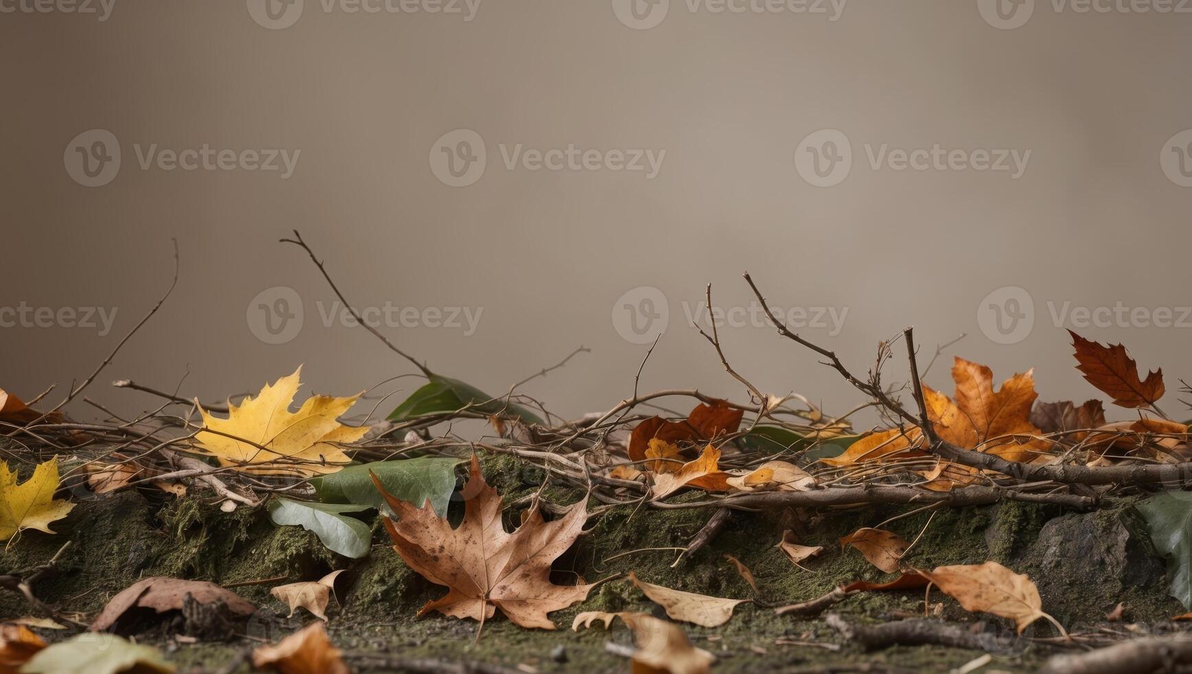 Autumn leaves on a wooden surface photo