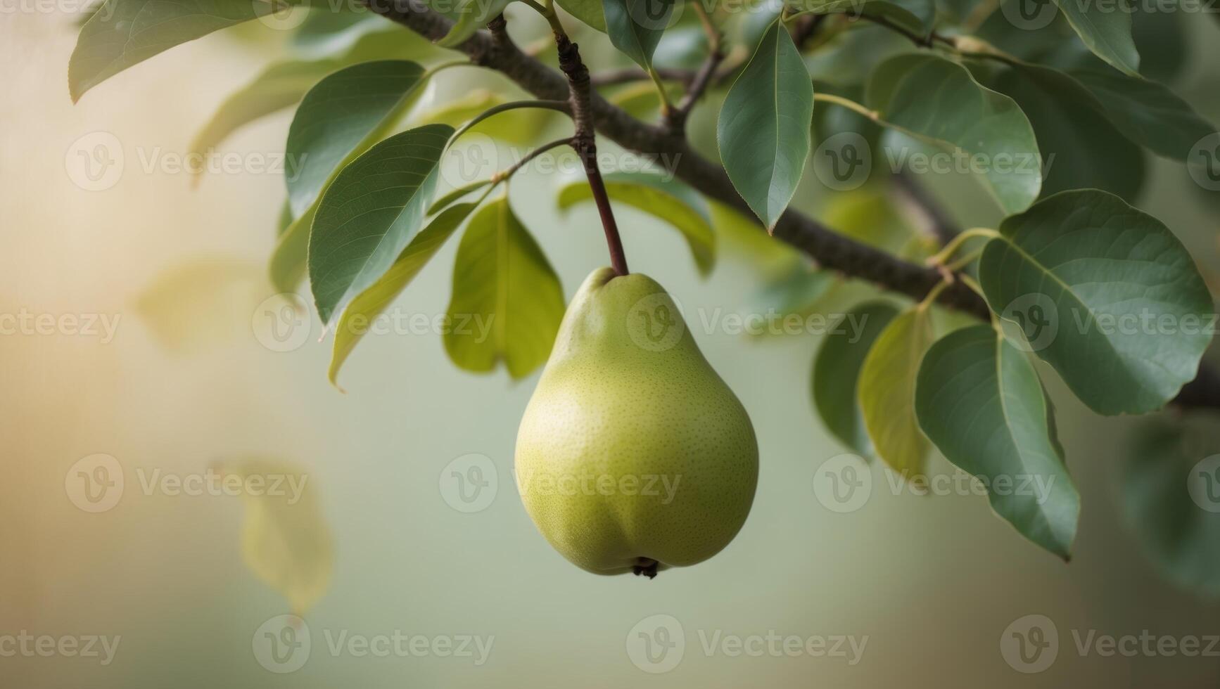 A pear is hanging from a tree branch photo