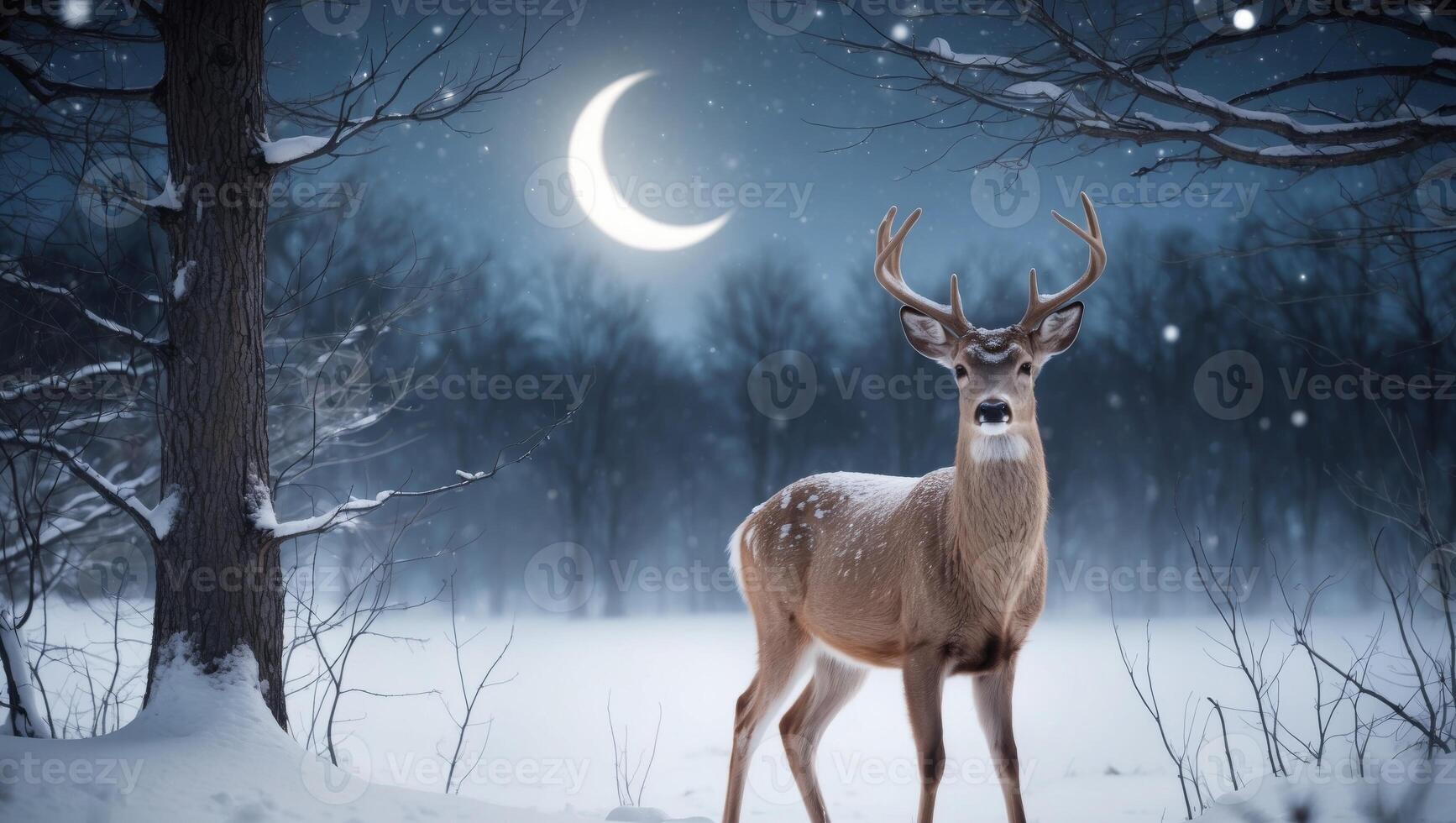 A deer stands in the snow with the moon in the background photo