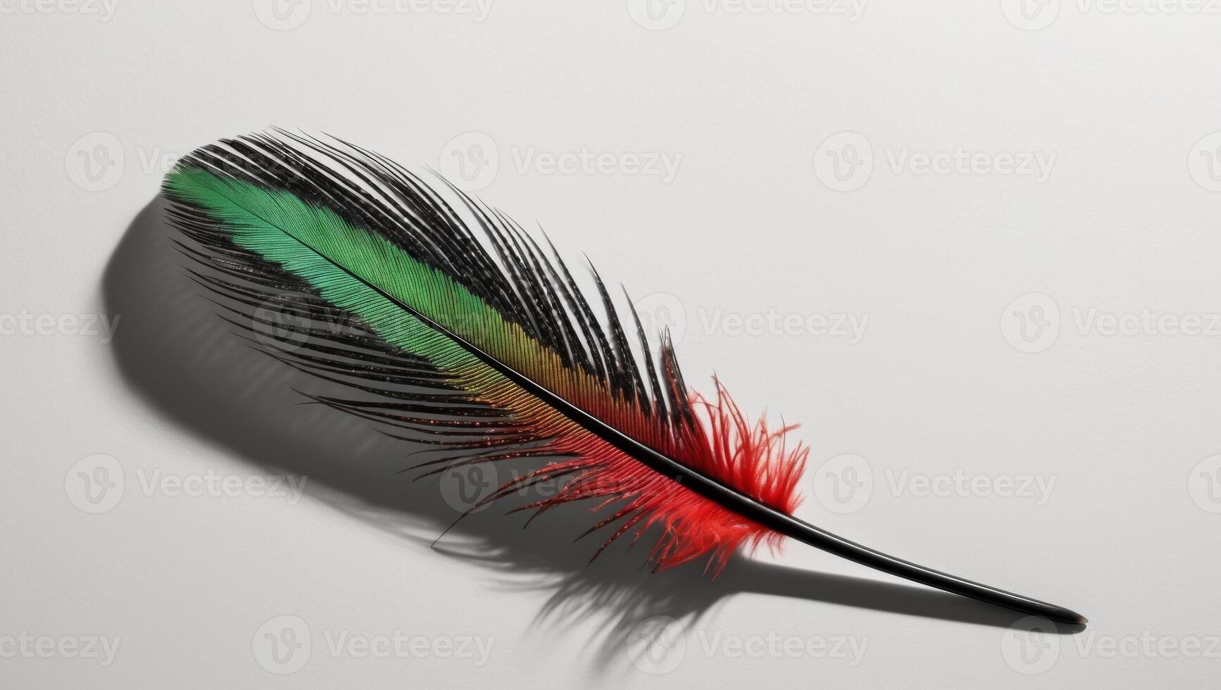 A red, green and black feather on a white surface photo