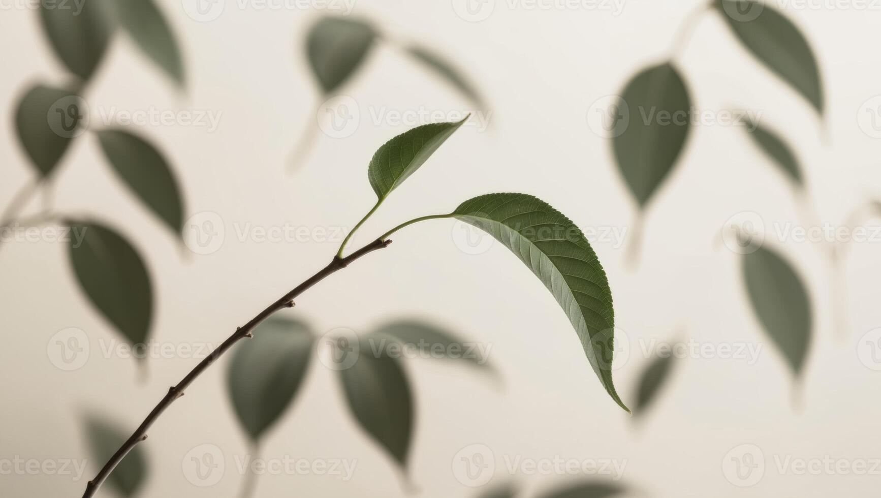 A branch with leaves on it in front of a wall photo