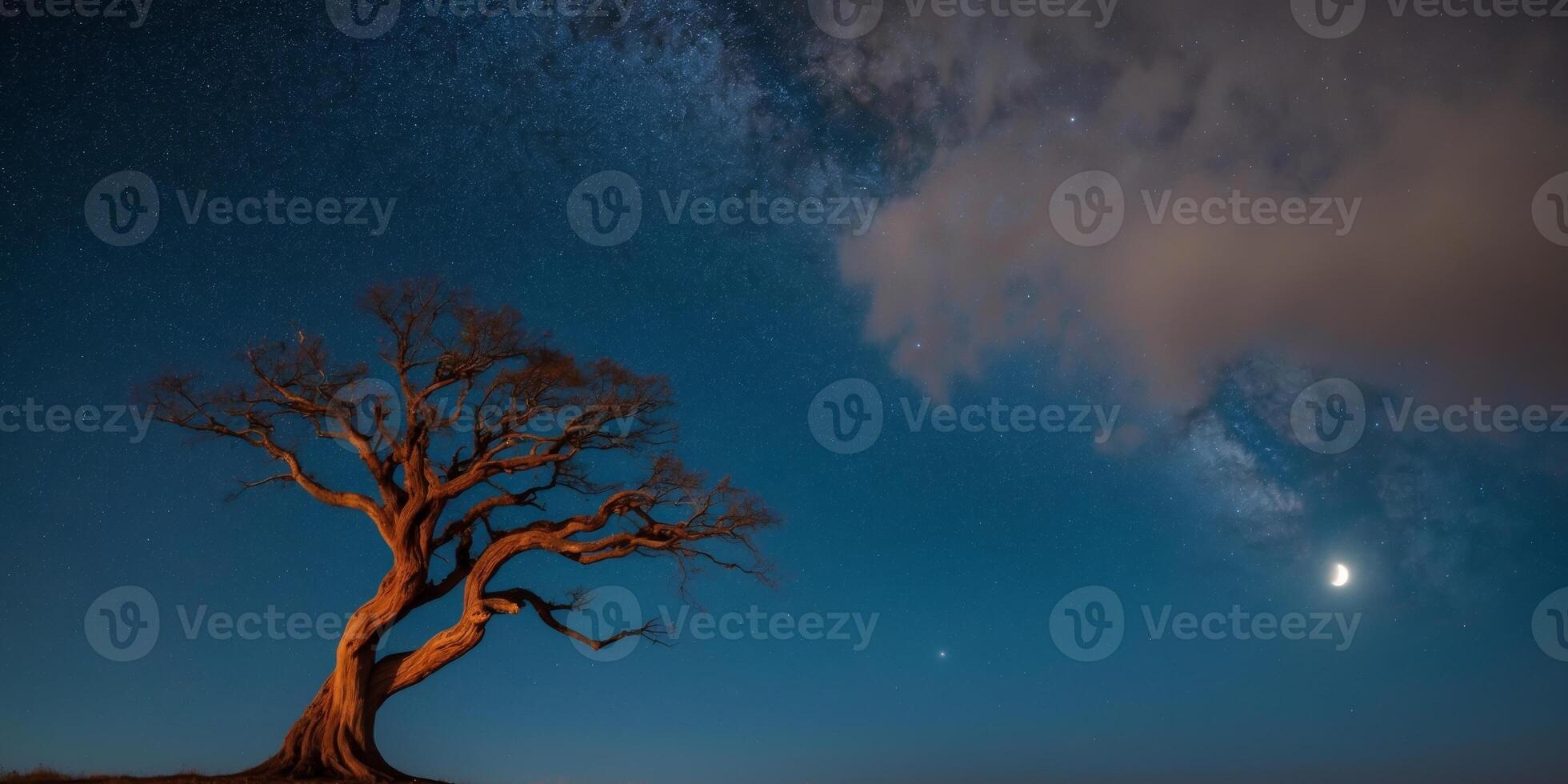 A lone tree stands in the middle of a field under a dark sky photo