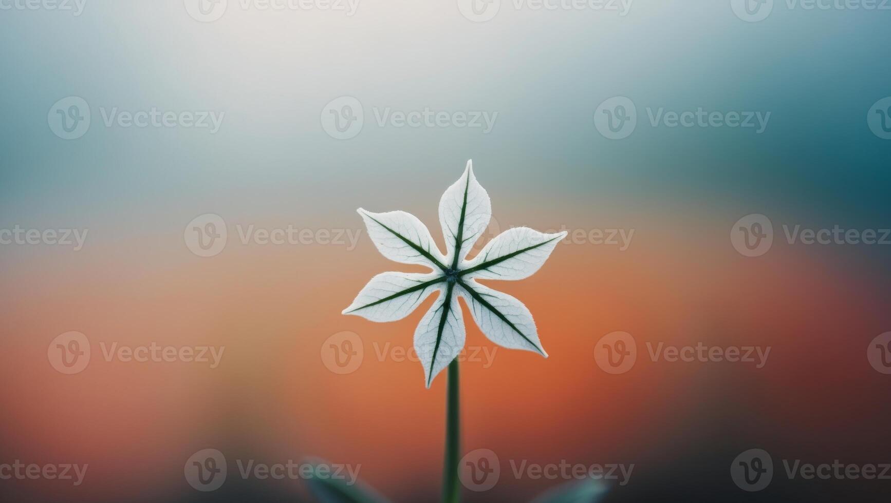 A single white flower is standing in front of a blurred background photo