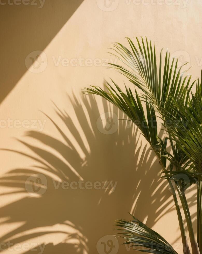 A palm tree is shown in front of a wall photo