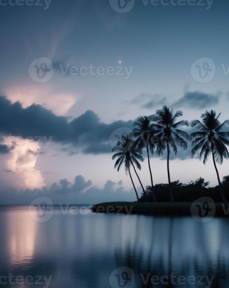 Palm trees on the beach at dusk photo