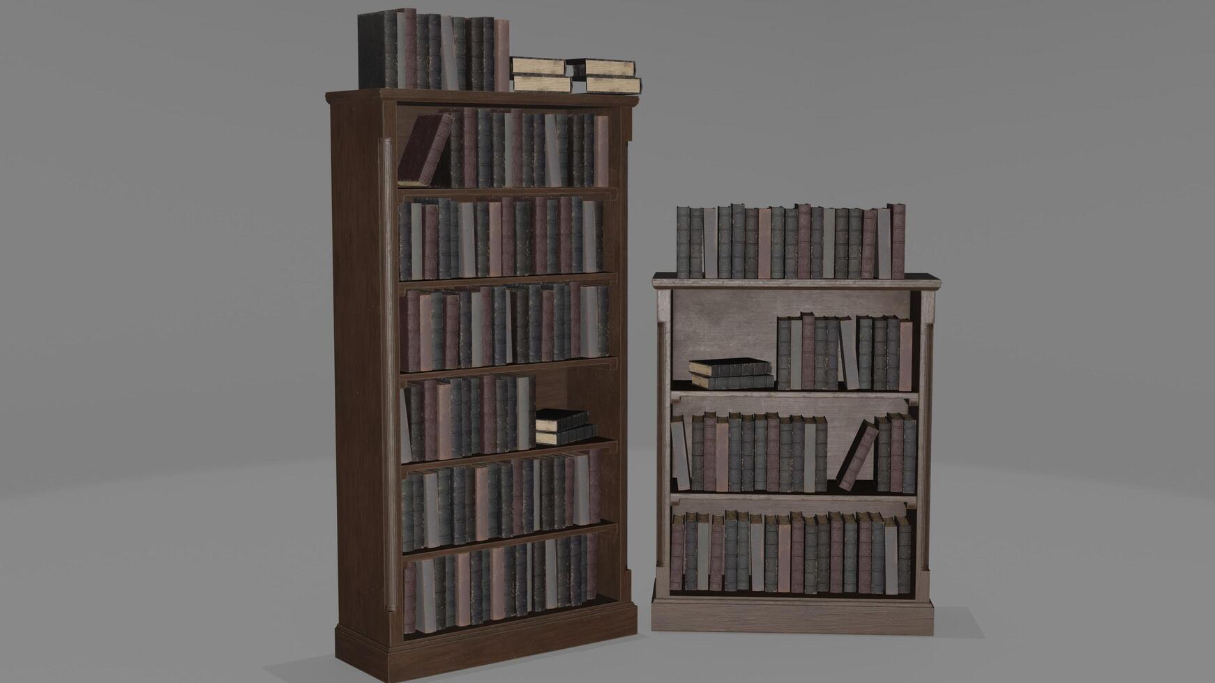 3d model of a tall bookcase with books on it photo